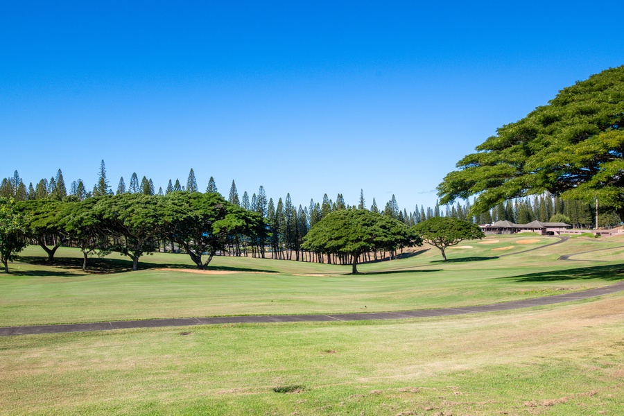 Kapalua Bay golf course