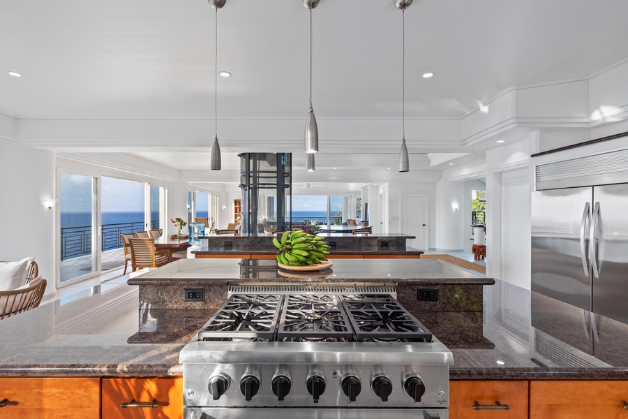 Gourmet open concept kitchen, newly outfitted by a premiere chef.