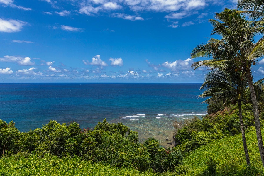 Situated on Kauai's Beautiful North Shore