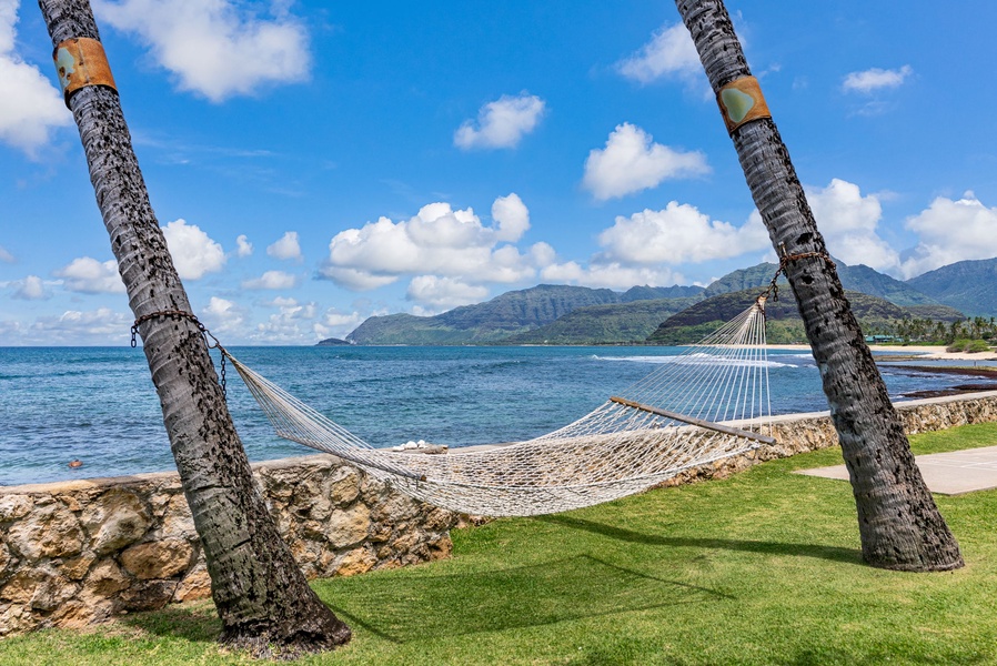 Hammock strung between palm trees overlooking ocean and mountains - the perfect spot for afternoon relaxation.