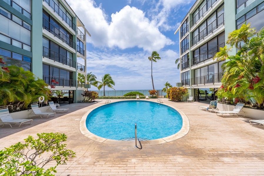 Take a refreshing dip in the community pool with poolside loungers and ocean views!