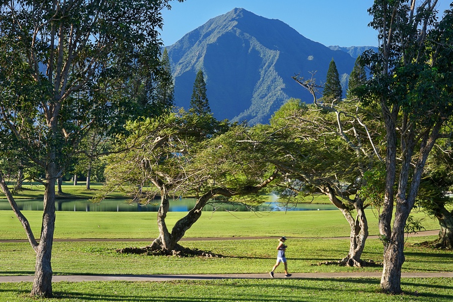 Mountain views and the tropical island setting is perfection!