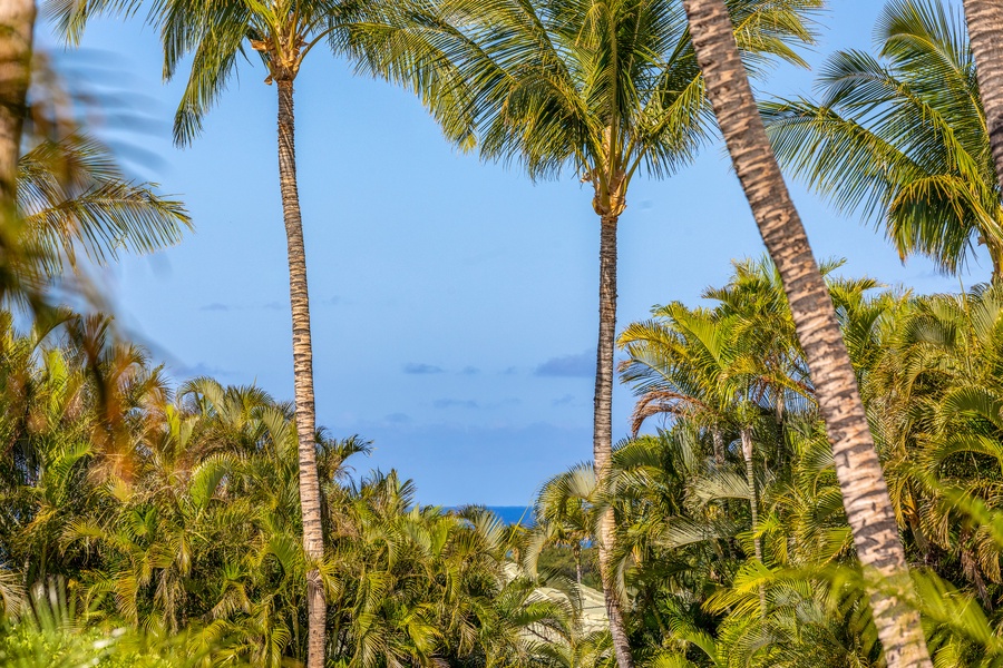 Glimpses of the ocean peek through lush palm-lined landscapes.