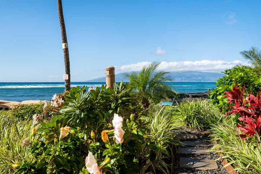 Tropical greenery frames the ocean views throughout Royal Kahana 610’s grounds.