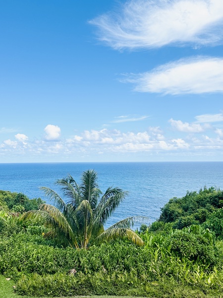 Oceanviews from Lanai