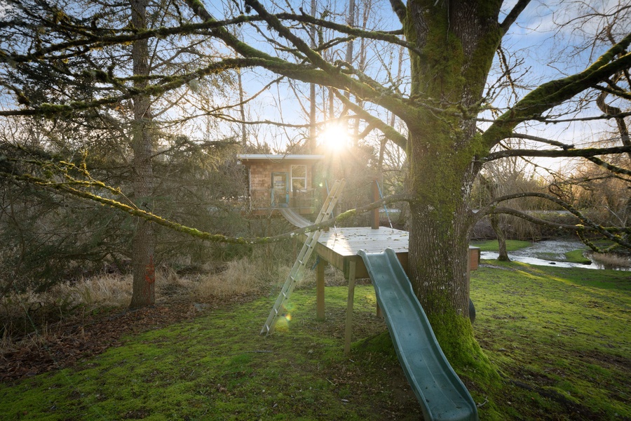 Adventure awaits in this magical treehouse playground, where morning sunlight filters through branches and creates the perfect outdoor escape for young explorers.