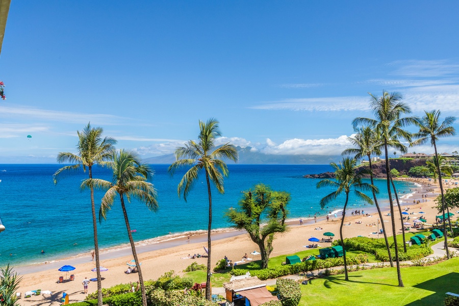 What a great view of green trees and blue sea mixing together.