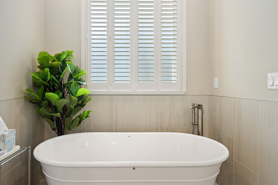 A classic bath tub oasis accompanied by the vibrant presence of a fiddle leaf fig tree