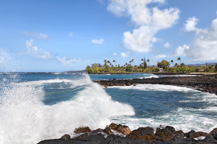 Just minutes from Poipu Beach Park and and Shipwreck Beach