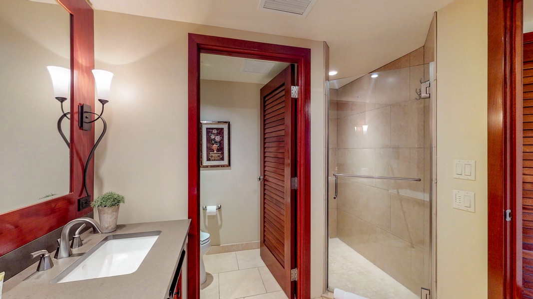 The second guest bath walk- in shower.