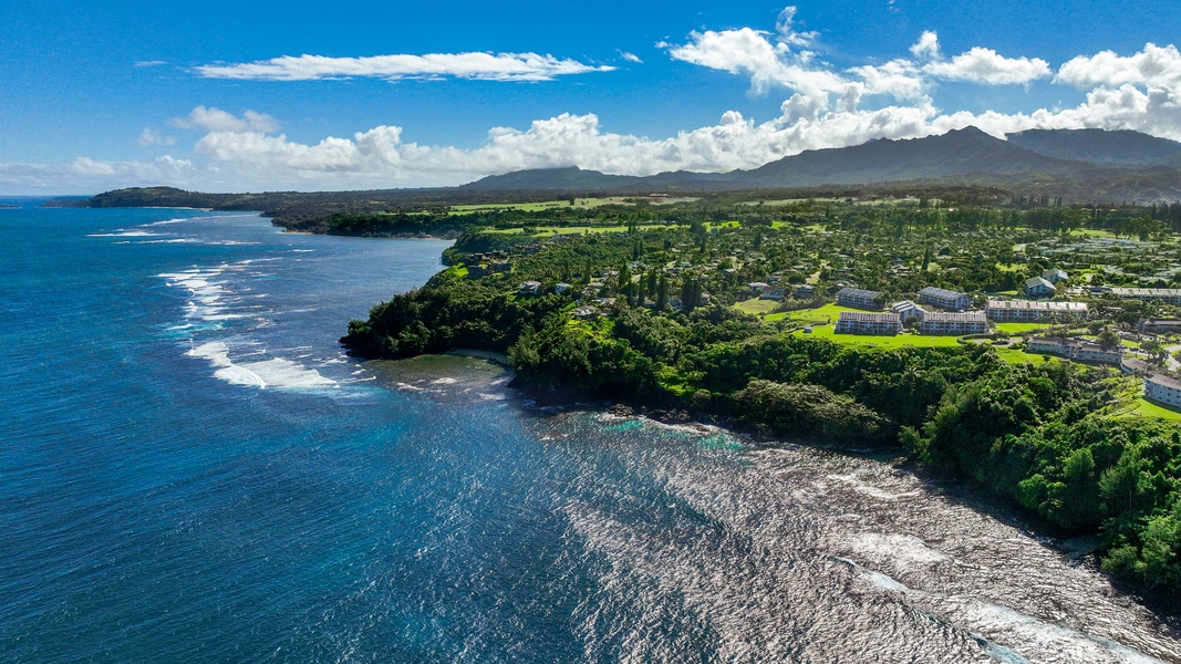 Aerial shot of the area with beautiful Hawaii coastline.
