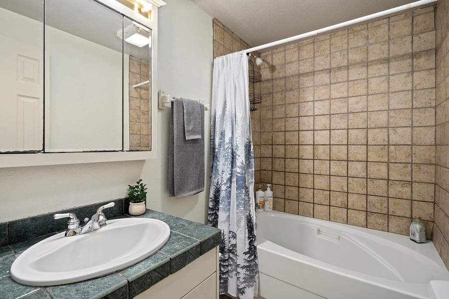 Bathroom with a single sink. Unwind and soak in tranquility in our inviting bathtub.