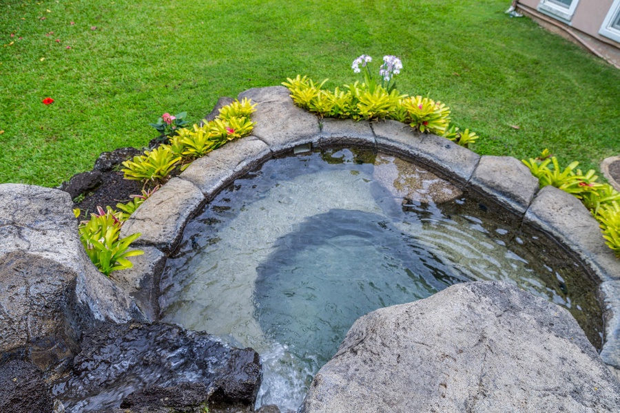 A lush garden with a small pond and greenery all around.