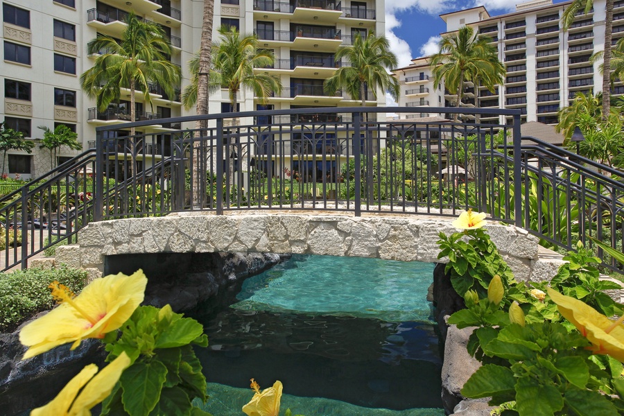 Vibrant flora and fauna on the resort.