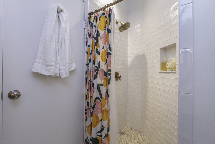 Walk-in shower in the guest bathroom