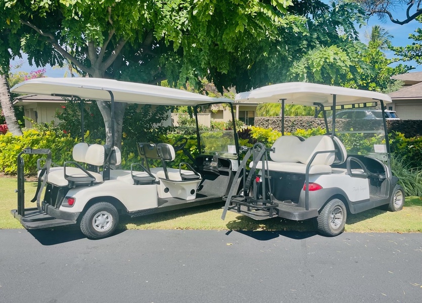 This rental comes with TWO golf carts! 4-Seater and a 6-seater