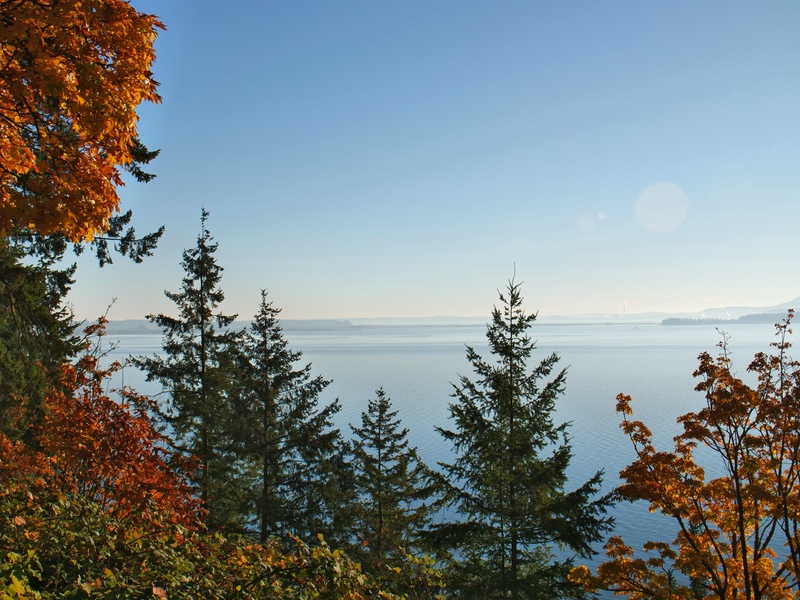 Breathtaking view of calm coastal waters framed by lush trees with vibrant autumn colors, perfect for relaxation and reflection.