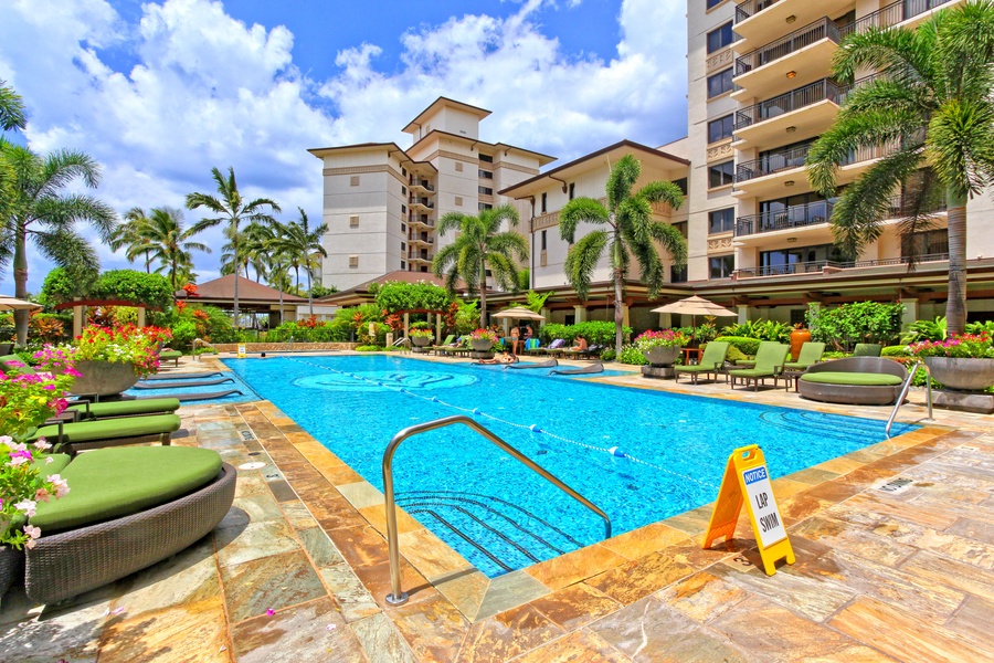 The gorgeous heated lap pool.