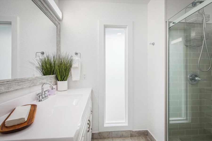 Guest bathroom with walk in shower and hall access