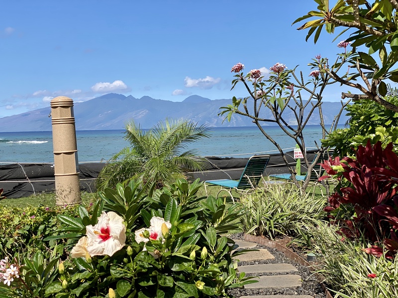 Lush tropical plants with an ocean backdrop create a peaceful, island-inspired setting.