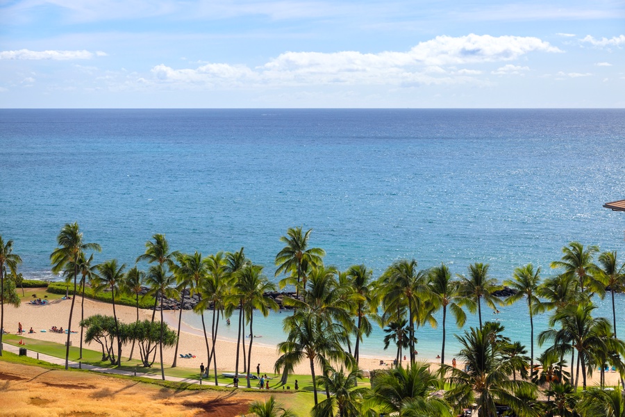 The beach and palm trees lining the resort.