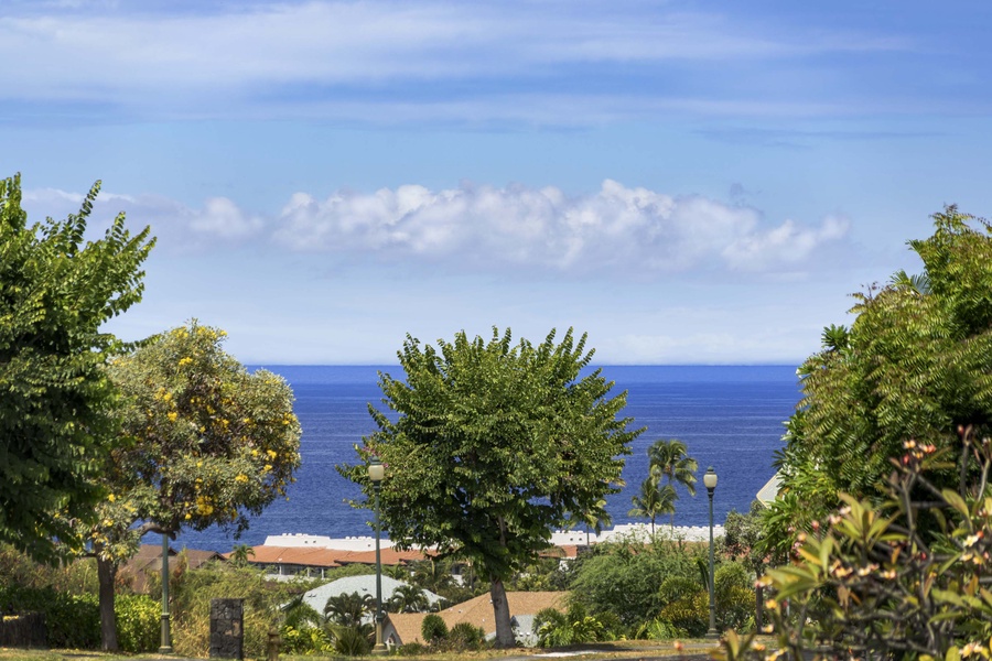 Captivating ocean views