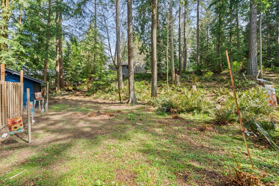 Enjoy peaceful mornings or yoga stretches in the open forest clearing steps from the cabin.