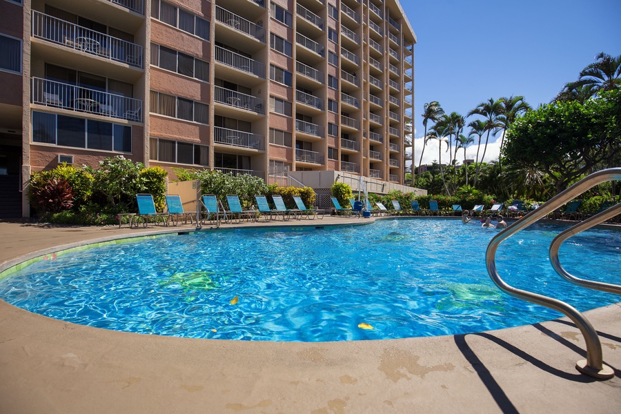 Take a dip in the refreshing pool and relax poolside under the palm trees.