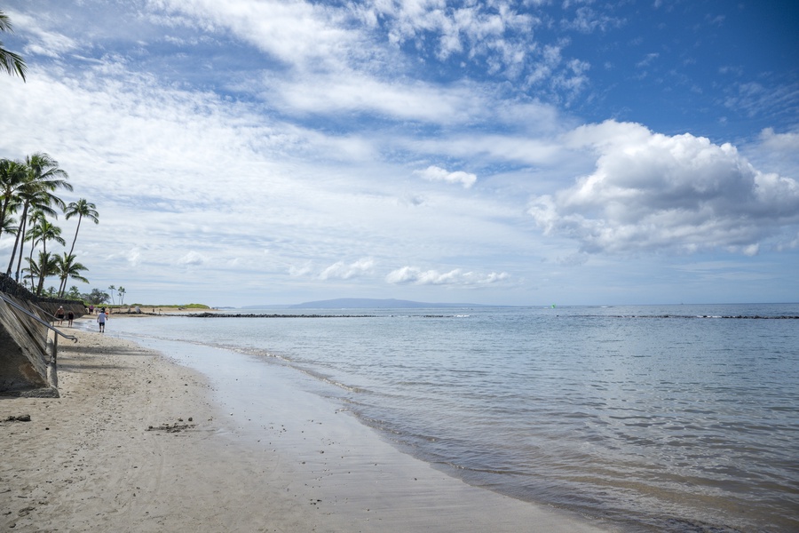 Tropical beach with swaying palms and crystal-clear waters stretches along the coastline near the property.
