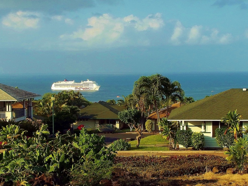 Panoramic vistas