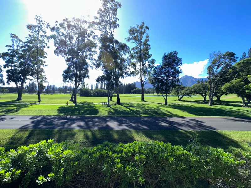 Take a morning walk through the grounds and explore.