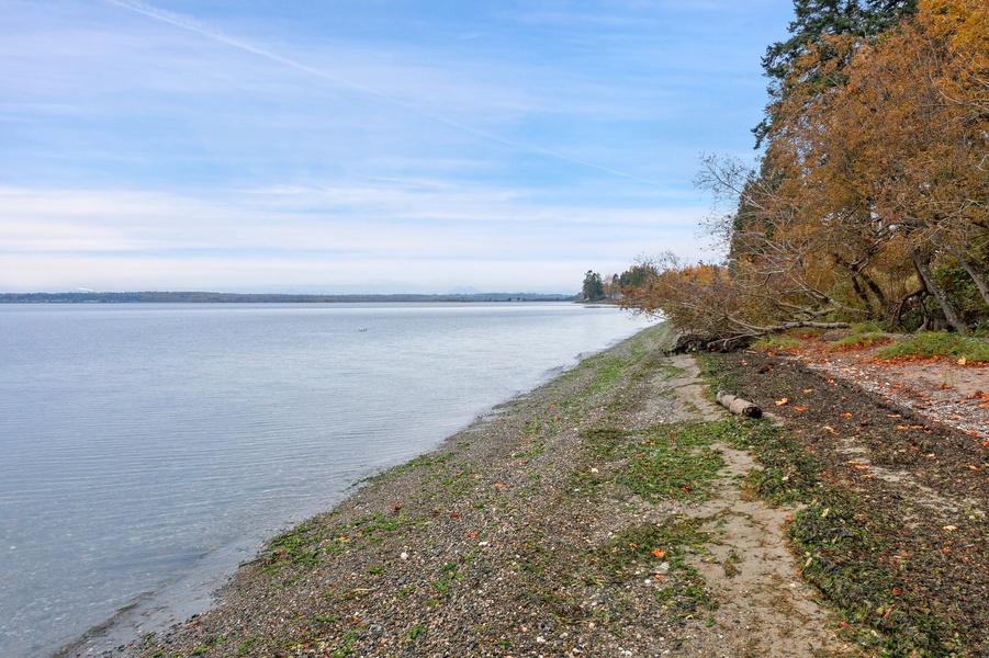 Explore the ever-changing tide line—perfect for beachcombing, bird-watching, and reconnecting with nature.