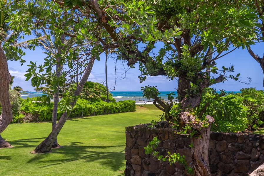 A lush beachfront property with tropical landscaping frames turquoise waters beyond a manicured lawn, offering direct coastal access and island serenity.