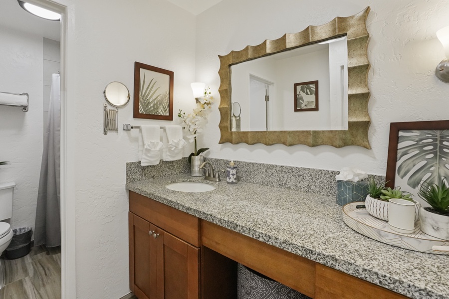 Bathroom provides a large vanity with storage and great lighting.