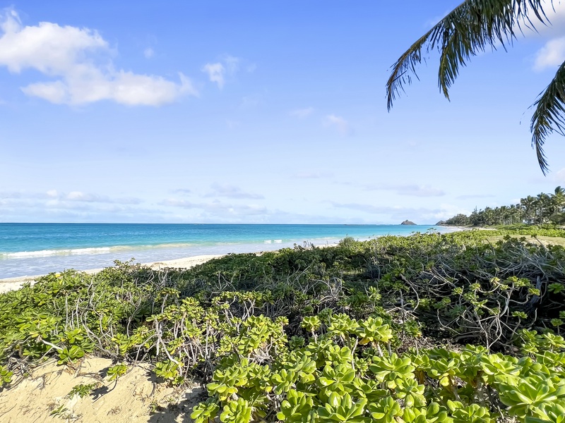 Enjoy early morning walks on the beach from your front door!