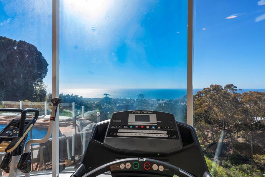 Treadmill with a view