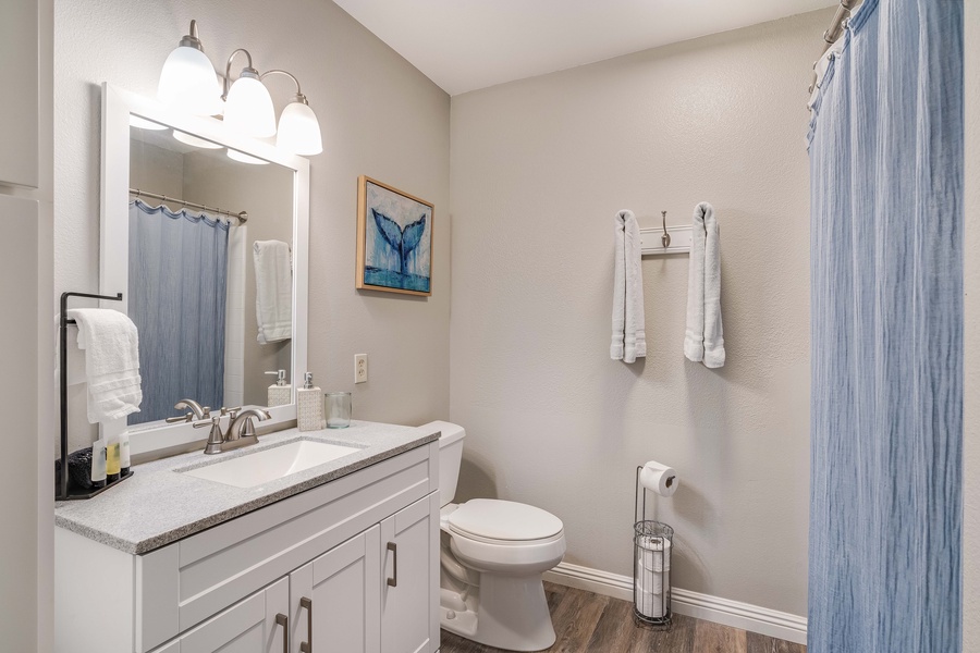 Guest bathroom