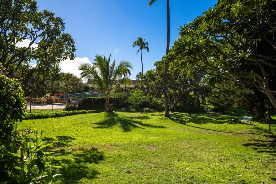Stroll through the lush five-acre grounds filled with palms, open lawns, and tropical plants.