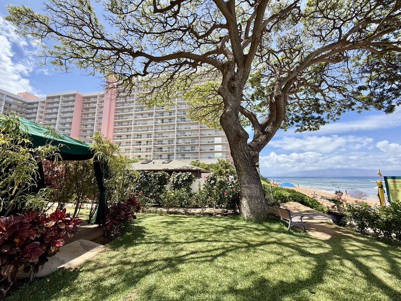 Take a break in the shade and enjoy the ocean breezes and stunning views Maui has to offer at Kaanapali Shores 746.