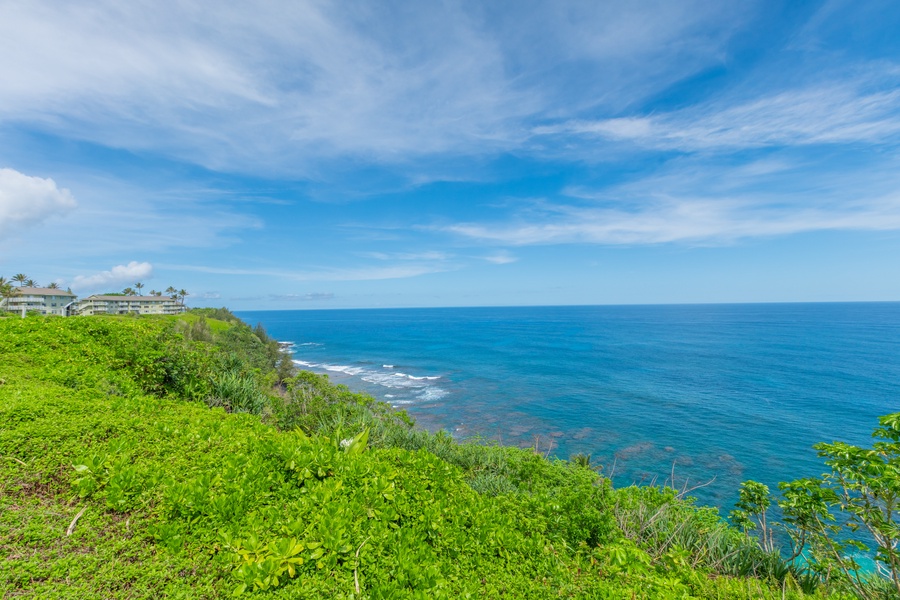 Clear blue skies meeting the ocean in a perfect coastal view.