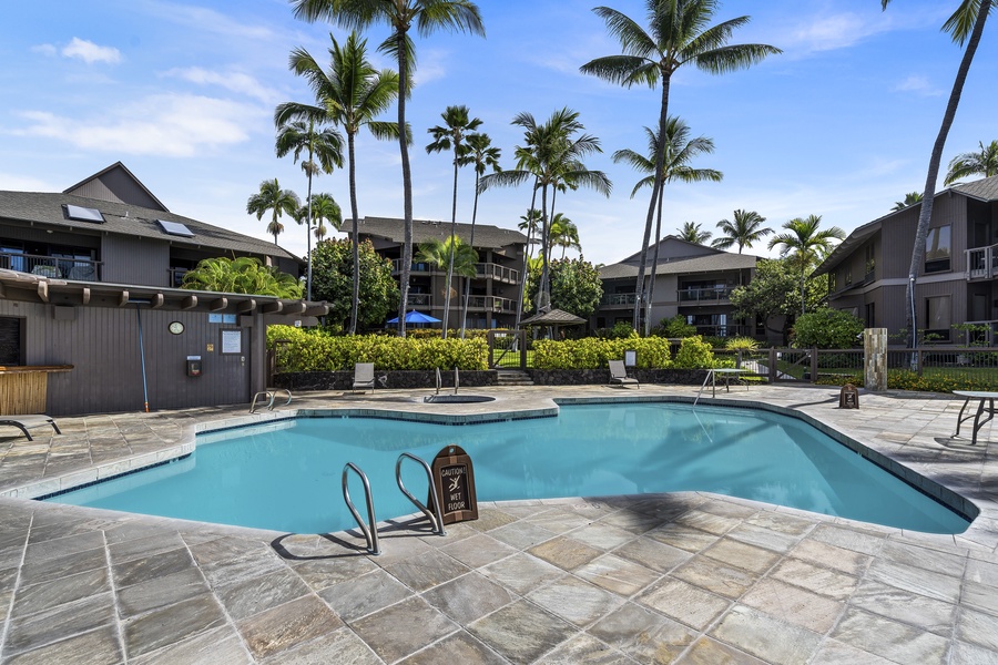 Looking back towards the units from the pool