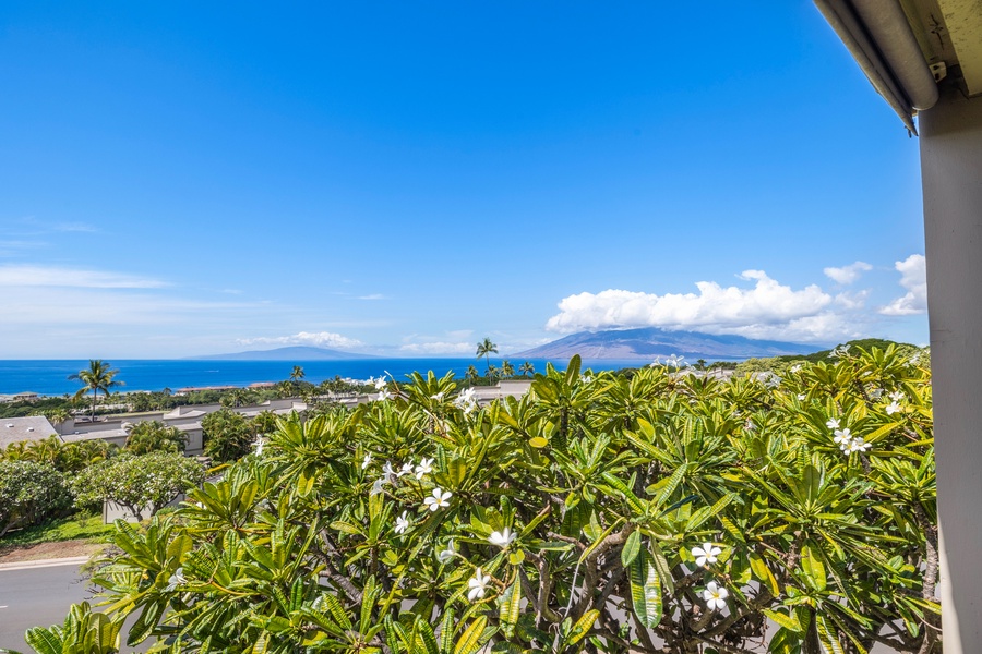 Stunning view of the ocean with clear blue skies, framed by palm trees swaying in the breeze, offering a peaceful and tropical atmosphere