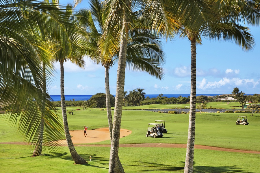 Lanai view