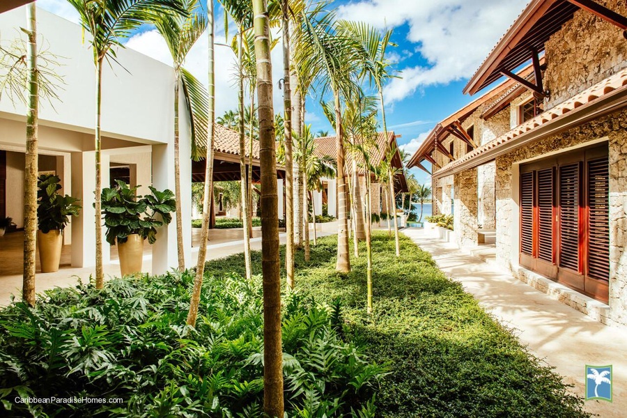 A serene walkway lined with lush greenery and tall palm trees.