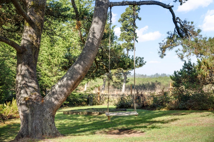 Swing into relaxation in our backyard, where simple pleasures await.