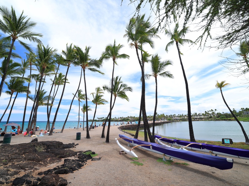 Take a tranquil stroll along the shoreline, where palm trees sway and canoes rest—an idyllic Hawaiian beach scene awaits.
