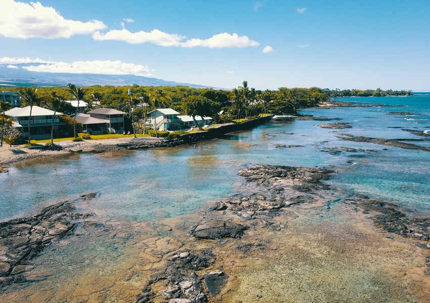 Puako's Many Protected Reefs Make it a Diving and Snorkeling Paradise!