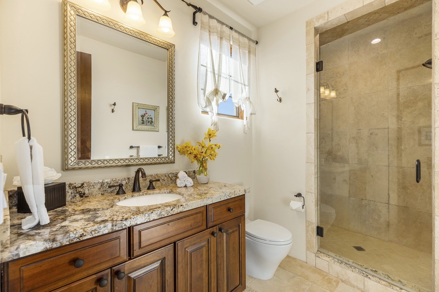 Ensuite bathroom with walk-in shower