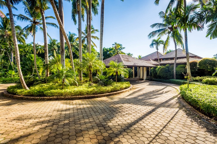 Serene driveway lined with tall palm trees leading to the main entrance of the La Plage.