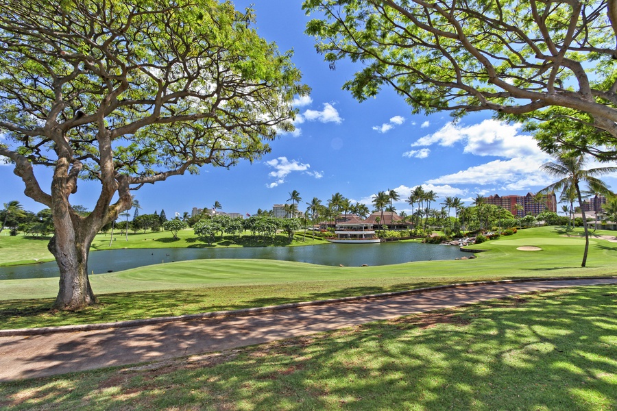 A backyard view of sun dappled trees over the golf course.